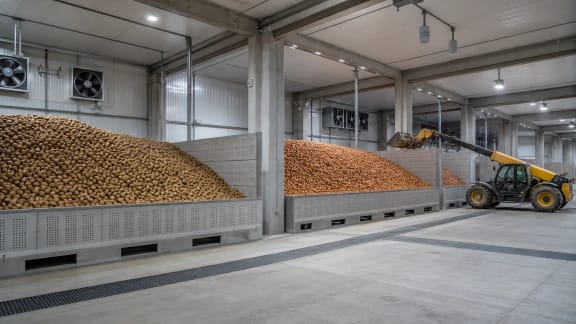 Potato and Onion Climate-Controlled Bulk Storage System in an illustrative agricultural technology context in Türkiye