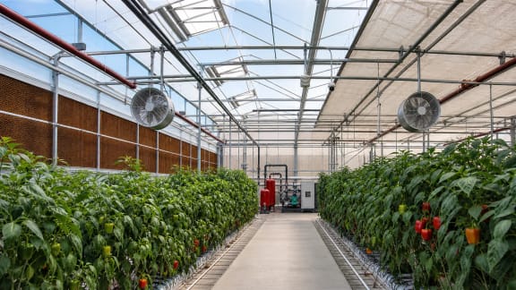 Greenhouse Heating, Cooling and Climate-Control System in an illustrative agricultural technology context in Türkiye