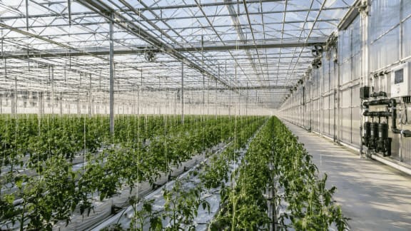 Illustrative greenhouse construction context