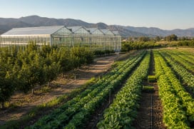 Modern glass greenhouses, orchard rows and drip-irrigated field vegetables in a Turkish agricultural landscape.
