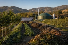 An integrated farm using agroforestry, compost recovery, biogas and solar energy in a restored agricultural landscape.