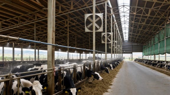 Dairy Barn Ventilation and Heat-Stress Management System in an illustrative agricultural technology context in Türkiye