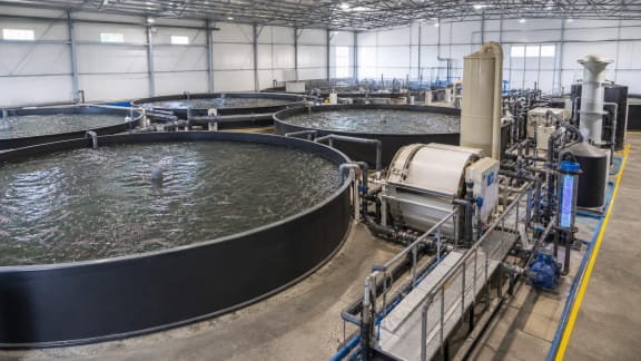 Recirculating Aquaculture System with Mechanical and Biological Filtration in an illustrative agricultural technology context in Türkiye