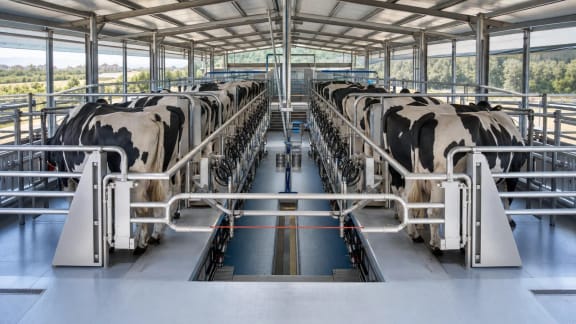 Parallel Rapid-Exit Milking Parlour in an illustrative agricultural technology context in Türkiye
