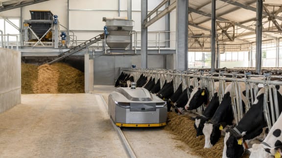 Automated Dairy Farm Feeding System in an illustrative agricultural technology context in Türkiye